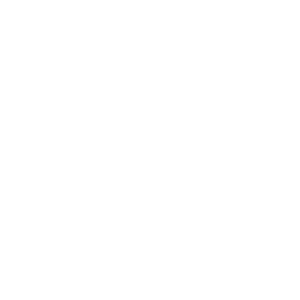 Carrera Eyewear logo